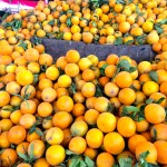 Oranges du Maroc
