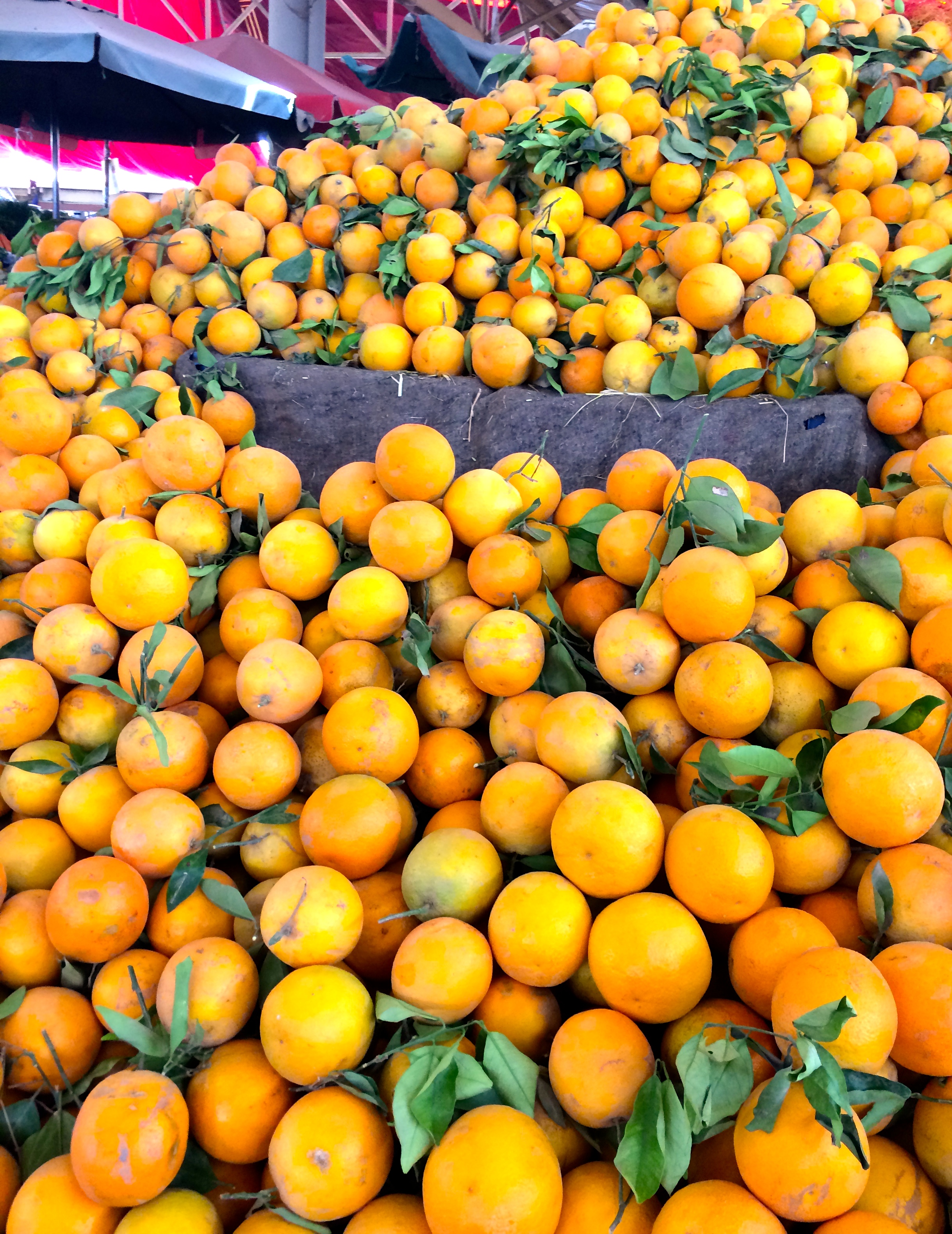 Oranges du Maroc