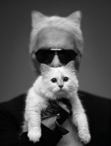 Karl-Lagerfeld-and-Choupette-courtest-of-The-Telegraph.co_.uk_