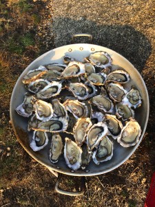 Ile d'yeu - Oysters dinner!