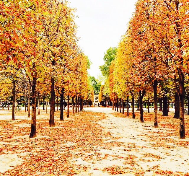 Fall Palais Royal