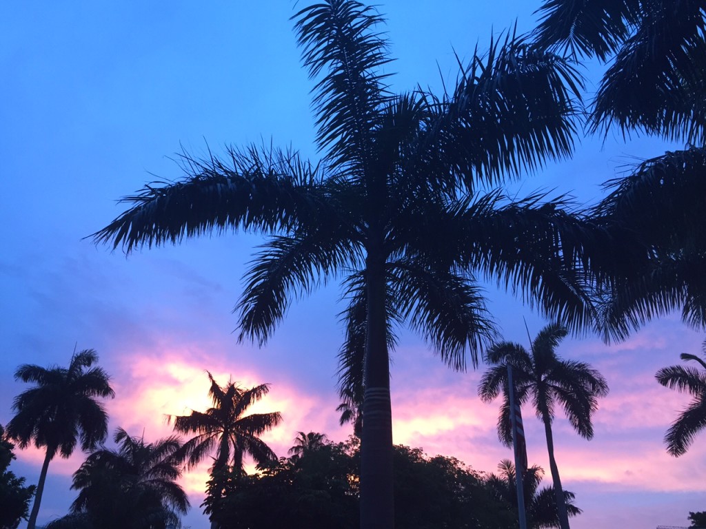  Miami sunset