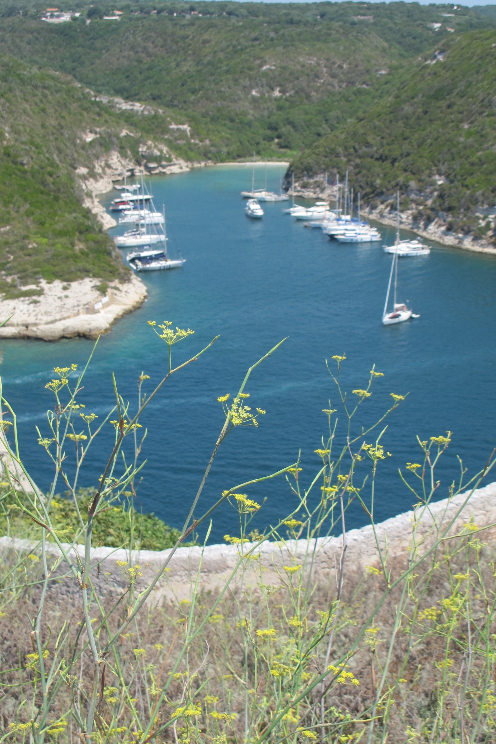 Bonifacio-Corsica